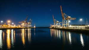 Harbour Nights