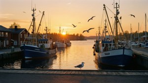 Harbour Sunrise