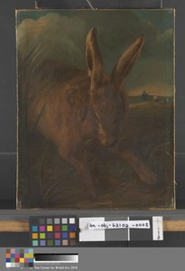 Hare Coursing