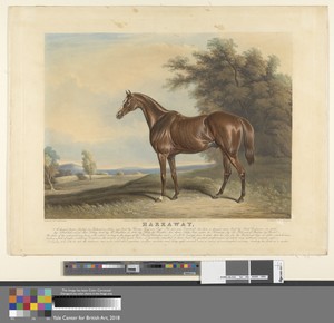 Harkaway. A Chesnut horse, foaled in Ireland in 1834, was bred by Thomas Ferguson, Esq. His sire Economist, his dam, a chesnut mare bred by Lord Cremorne, in 1823, ...