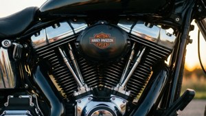 Harley Chrome Beast