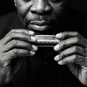 Harmonica Hands Detail
