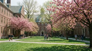 Harvard Yard Spring