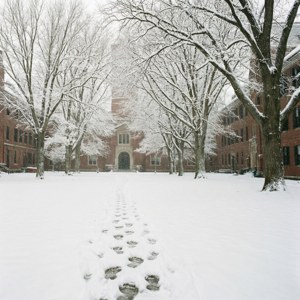 Harvard Yard Winter Silence