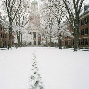 Harvard Yard Winter Silence