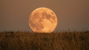 Harvest Moon Glow