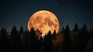 Harvest Moon Rising