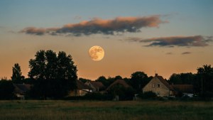 Harvest Moon Village