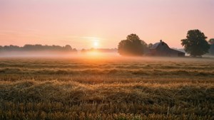 Harvest Sunrise