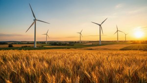 Harvest Wind Scene