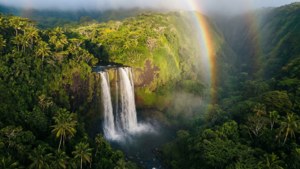 Hawaiian Waterfall Valley