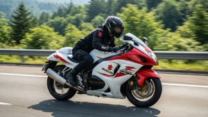 Hayabusa Highway Speed