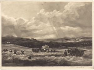 Hayfield in Yorkshire