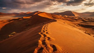 HDR Desert Dunes