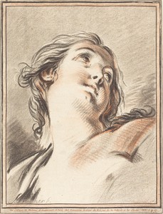 Head of a Woman Looking Up