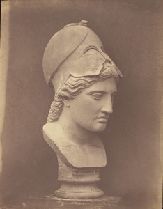 Head of Minerva [3/4 view]