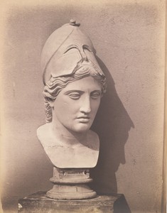 Head of Minerva [7/8 view]