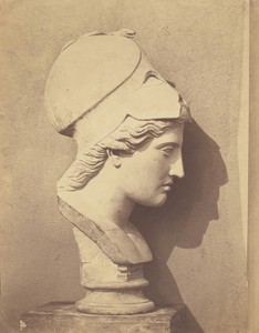 Head of Minerva [Profile View]