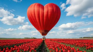 Heart Balloon Over Tulips
