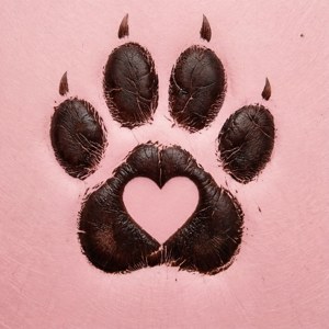 Heart Paw Print
