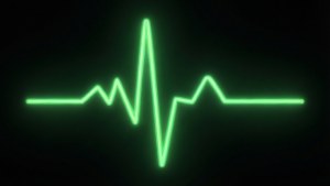 Heartbeat Monitor