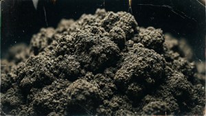 Heavy Grunge Grain