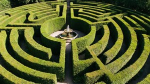 Hedge Maze Garden