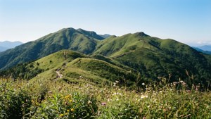 Hehuanshan Green Hills