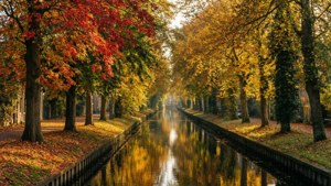 Helmond Autumn Glow