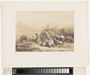 Herder en schapen