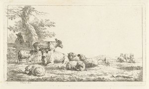 Herder kijkend naar kudde dieren