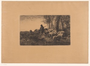 Herder met groep varkens