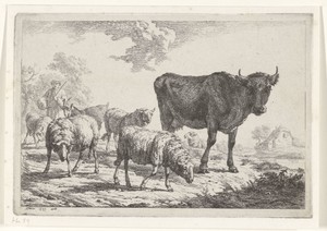 Herder met kudde