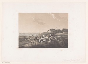 Herder met kudde in de duinen