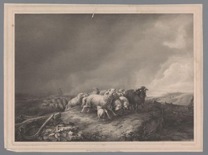 Herder met kudde in een storm