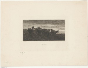 Herder met kudde koeien
