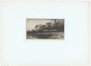 Herder met kudde koeien langs de waterkant