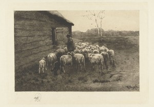 Herder met kudde schapen voor de stal