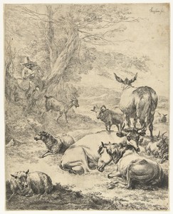 Herder met rustende kudde