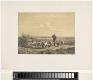 Herder met zijn schapen op de hei