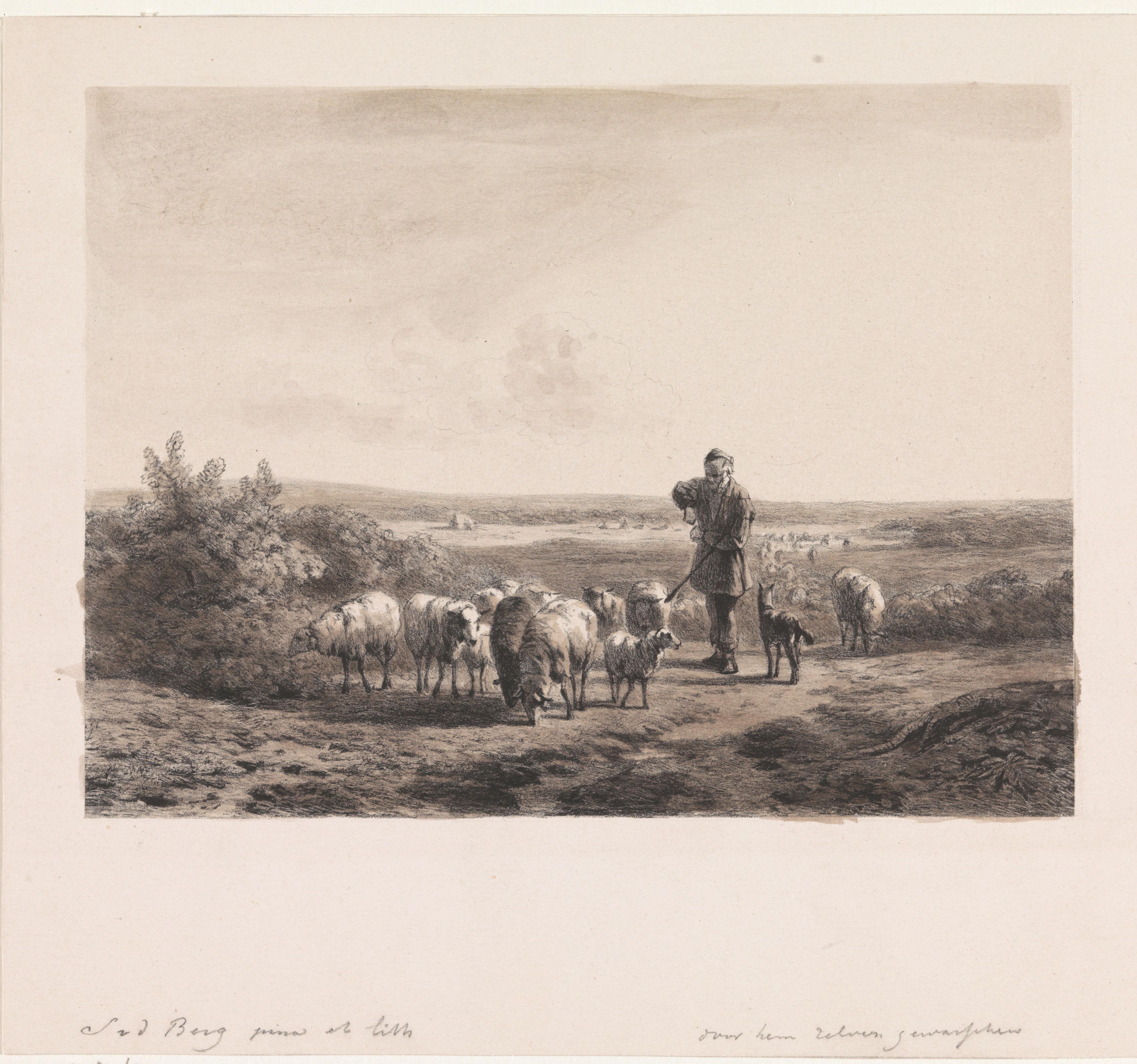 Herder met zijn schapen op de hei by Simon van den Berg