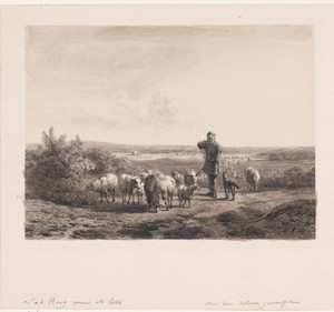 Herder met zijn schapen op de hei