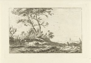 Herder op een landweg