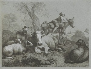 Herder op ezel bij kudde