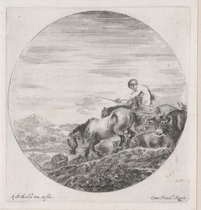 Herder te paard drijft kudde voort