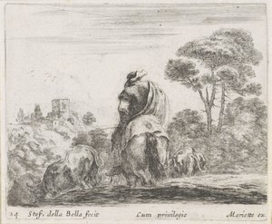 Herder te paard op de rug gezien in een landschap met koeien