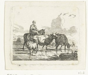 Herderin te paard in ondiep water