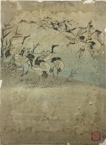 Herons Among Grasses