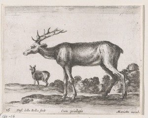 Herten