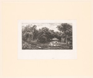 Herten aan de rand van een vijver in het bos